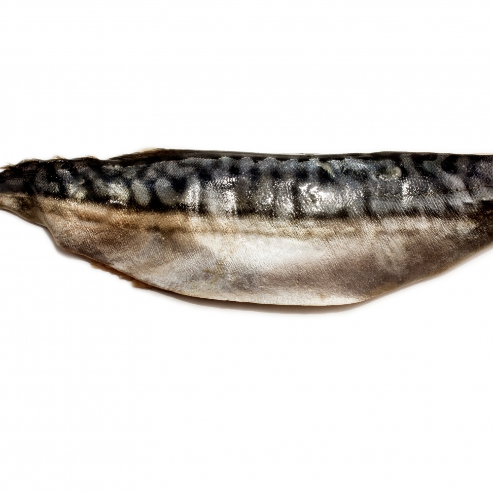 【日料等級】挪威薄鹽鯖魚