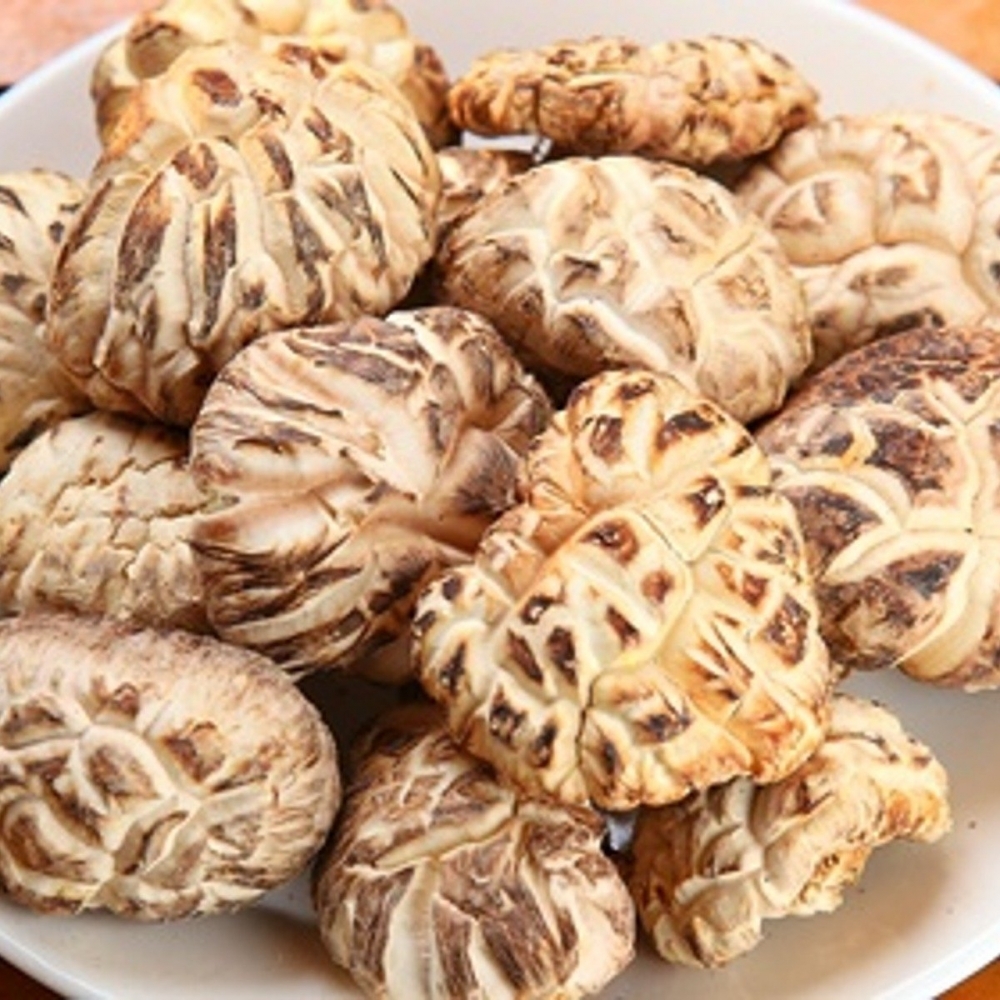 【Q彈】日本花菇