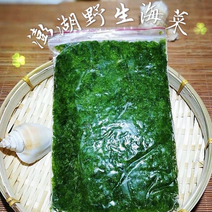 【野生】澎湖青海菜