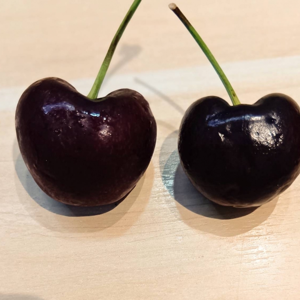 【脆甜】華盛頓櫻桃