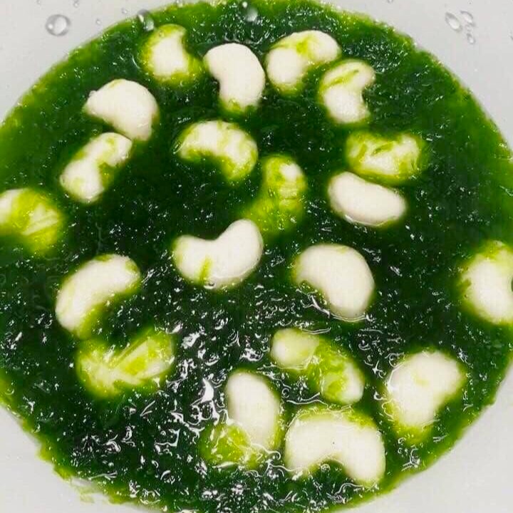 【野生】澎湖青海菜